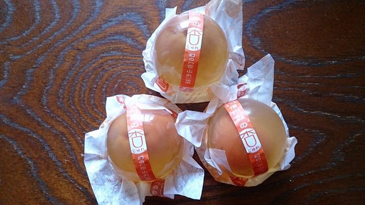 りんごの木(リンゴノキ) ゼリー・蒟蒻・寒天 杏じゅれ