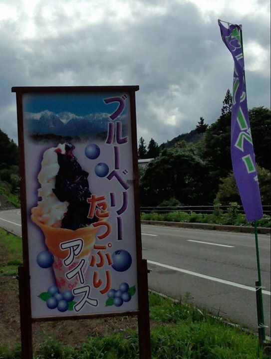 信州小川村ブルーベリー観光農園&nbsp;アイス・ジェラート&nbsp;ブルーベリーソフトクリーム