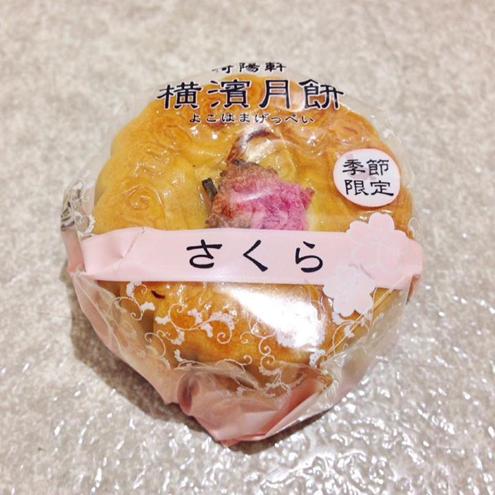 ながの東急百貨店(ナガノトウキュウヒャッカテン) その他スイーツ 横濱月餅 さくら