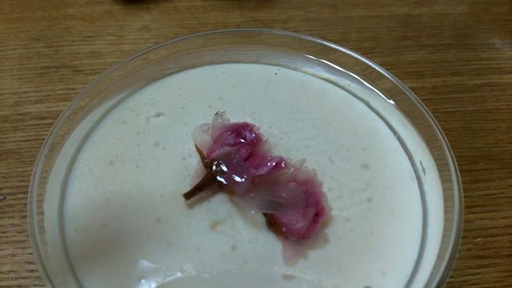 マツキ&nbsp;ケーキ・タルト&nbsp;桜のレアチーズケーキ
