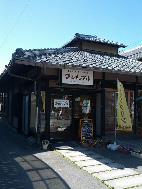 マロナップル&nbsp;プリン&nbsp;おぶせ牛乳プリン