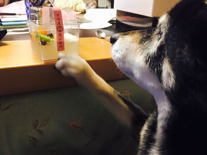 甘味屋幾右衛門（アマミヤイクエモン）&nbsp;あんみつ&nbsp;あんみつ