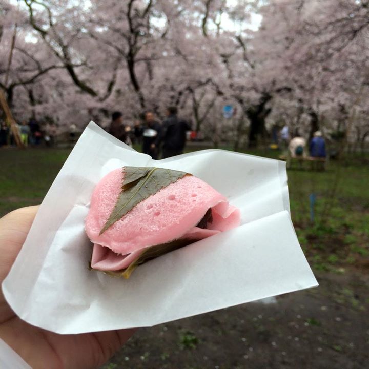 茶桜菓子庵 千登勢（チトセ）&nbsp;桜もち&nbsp;焼きたて さくら餅