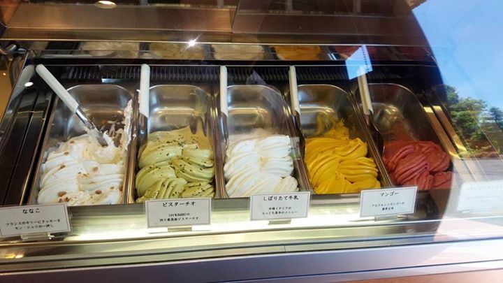 モン・シェリ&nbsp;アイス・ジェラート&nbsp;ピスタチオとななこ（半生菓子チーズケーキ味）のジェラート