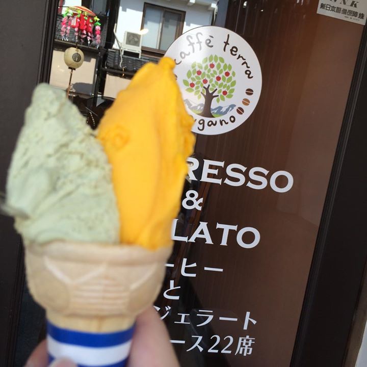カフェ・テッラ(Caffe Terra) アイス・ジェラート ピスタチオ&マンゴーの
ジェラート