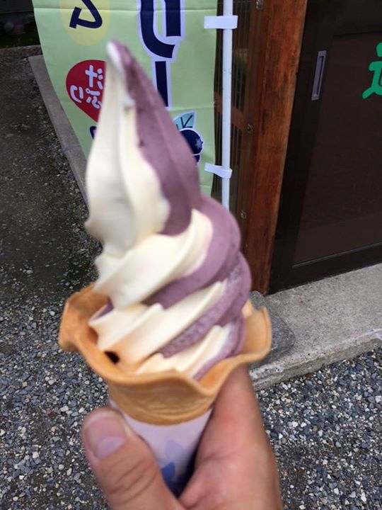 道の駅 白馬(ハクバ) アイス・ジェラート ブルーベリーとバニラのミックスソフトクリーム