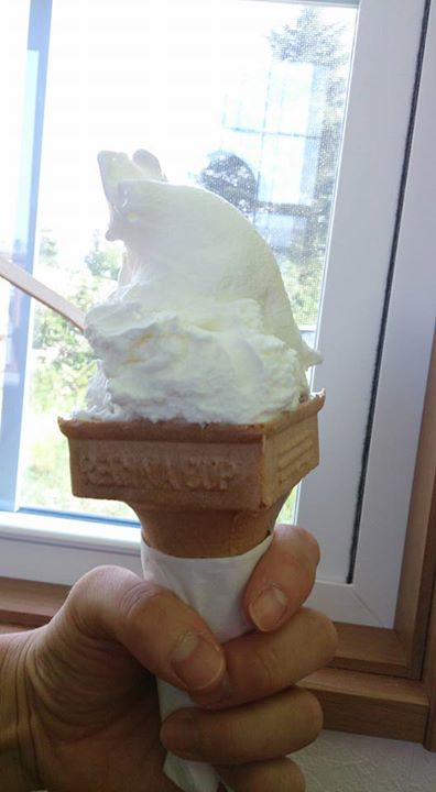 信州ジェラート with(ウィズ) アイス・ジェラート 牛乳ジェラート