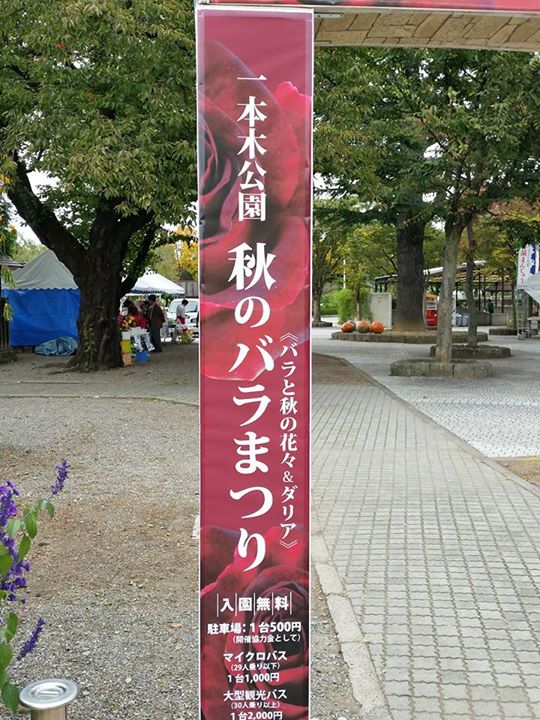 丸屋(マルヤ) おまんじゅう,その他スイーツ 薔薇まんじゅう、薔薇ブッセ
