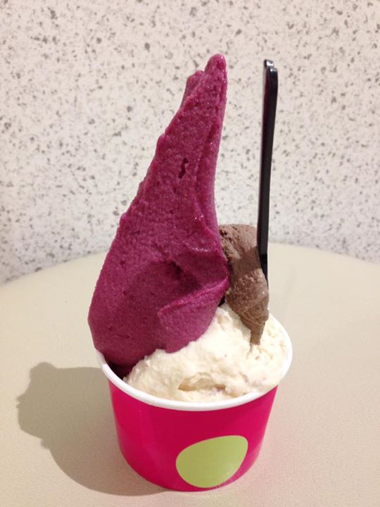 ながの東急百貨店(ナガノトウキュウヒャッカテン) アイス・ジェラート ジェラート2種盛(ブドウ・ラムレーズン)(北海道大物産展)
