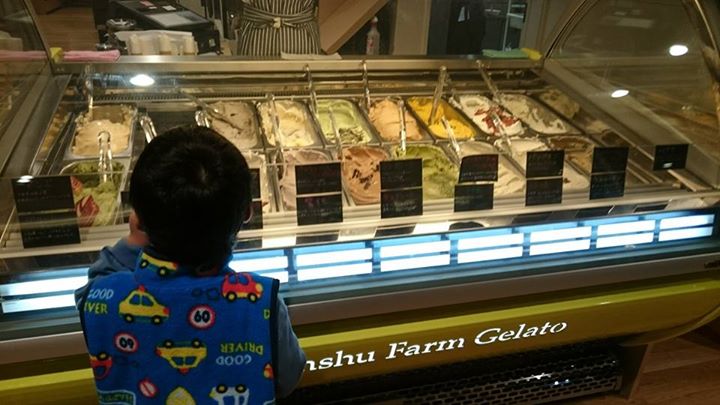 白鳥園(ハクチョウエン) アイス・ジェラート メープルウォールナッツ&リンゴのパイ入り・グリーンスムージー&チョコレートミント