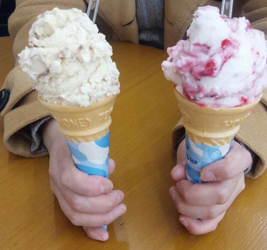 にわとり食堂&nbsp;アイス・ジェラート,ケーキ・タルト,プリン&nbsp;ジェラート（ベリーベリーヨーグルト、ティラミス）とシュークリーム、プリン、チーズケーキ