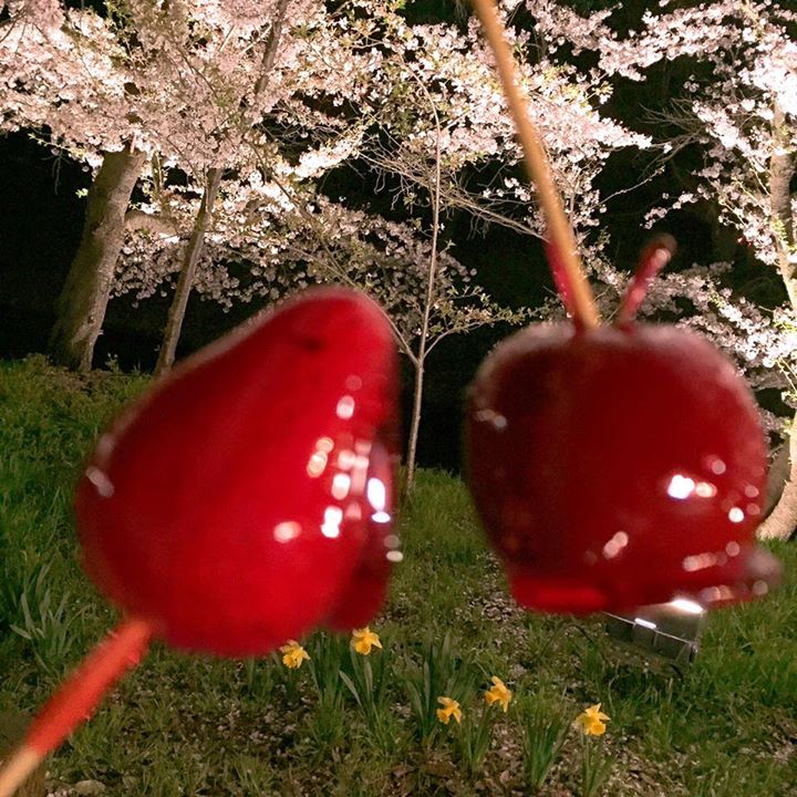 上田城跡公園・上田城真田茶屋(ウエダジョウサナダチャヤ) キャンディー・飴 いちご飴、リンゴ飴