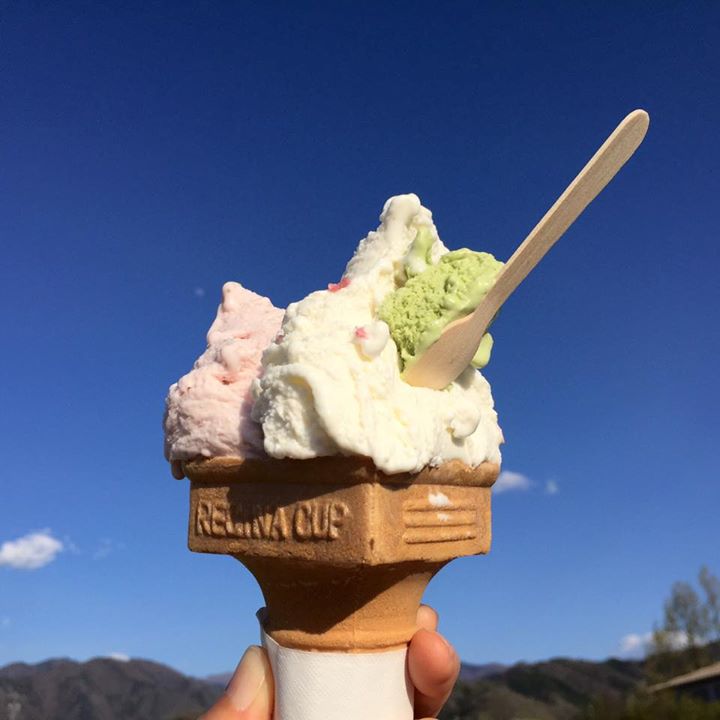 信州ジェラート with(ウィズ) アイス・ジェラート ジェラート(さくらミルク、生いちごミルク)