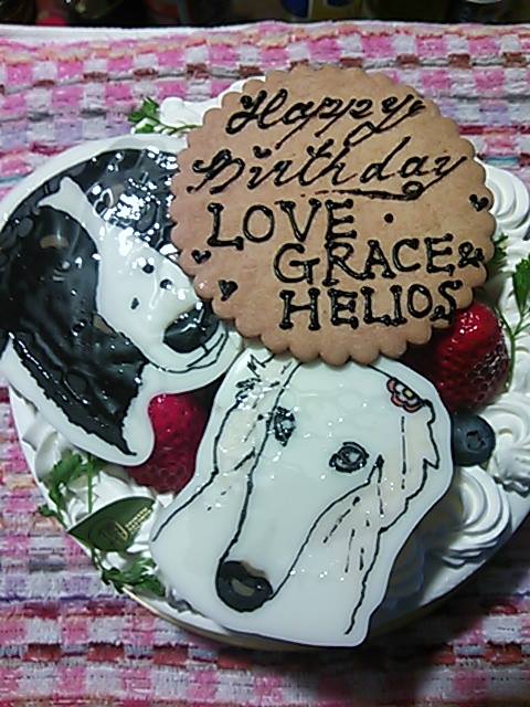 信州里の菓工房(シンシュウサトノカコウボウ) ケーキ・タルト 愛犬の顔をチョコプレートにデコったバースデー・ケーキ(6号)