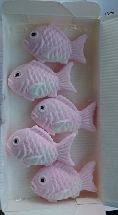 豆暦（マメコヨミ）&nbsp;落雁,お餅&nbsp;めでたい、こいのぼり