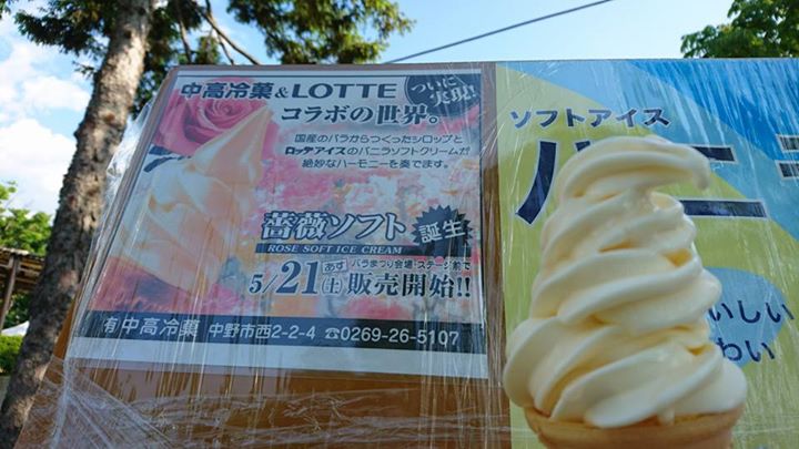 中高冷菓（チュウコウレイカ）&nbsp;アイス・ジェラート&nbsp;薔薇ソフト