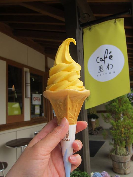cafe里わ（サトワ）&nbsp;アイス・ジェラート&nbsp;スノーキャロットのソフトクリーム