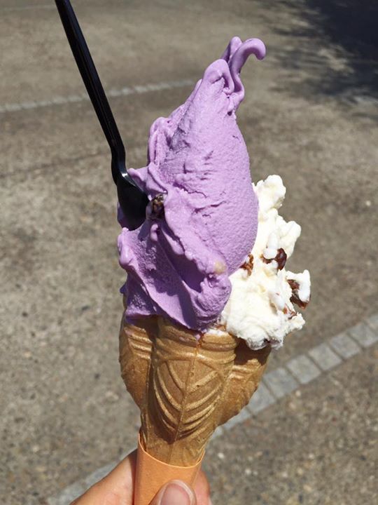 Confiture mimi Gelateria（コンフィチュール ミミ ジェラテリア）&nbsp;アイス・ジェラート&nbsp;ハックルベリー、ラムレーズンのダブル ジェラート