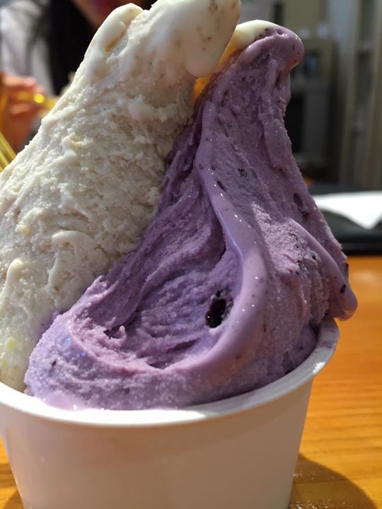 なないろキッチン&nbsp;アイス・ジェラート&nbsp;クルミとブルーベリー、ほうじ茶とモカのジェラート