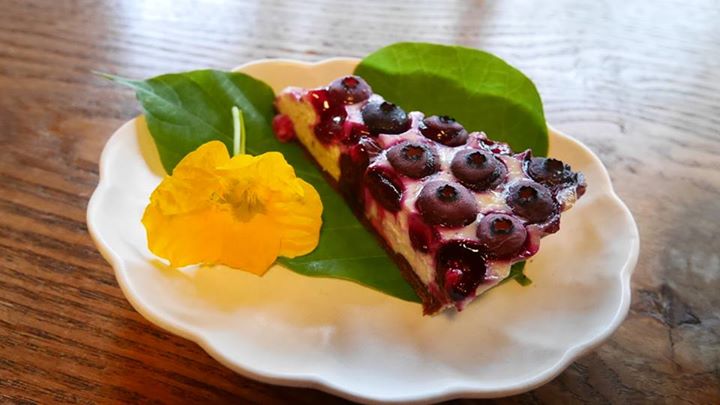 穂高養生園(ホタカヨウジョウエン) ケーキ・タルト ブルーベリーの豆腐チーズケーキタルト