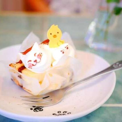 手作りケーキの店 Tarte（タルト）&nbsp;ケーキ・タルト&nbsp;お昼寝猫のティラミス