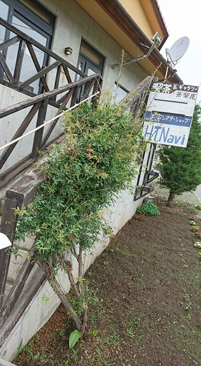 喫茶&クラフトギャラリー茶楽庵(チャラクアン) アイス・ジェラート,ケーキ・タルト チョコレートケーキ、シフォンケーキ、アイスのセット