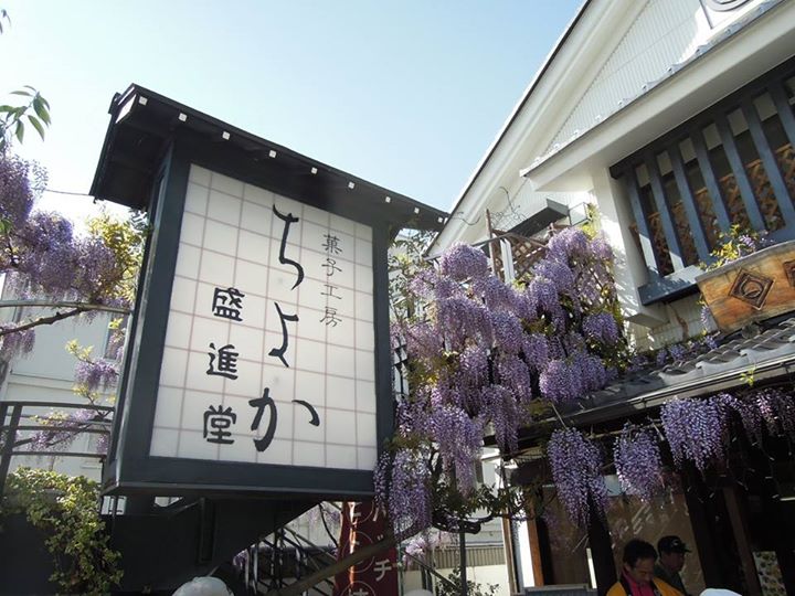 盛進堂(セイシンドウ) その他スイーツ 栗中華