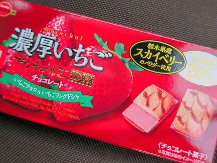 スーパー・コンビニ・その他 チョコレート ブランチュールミニDX 濃厚いちごチョコレート