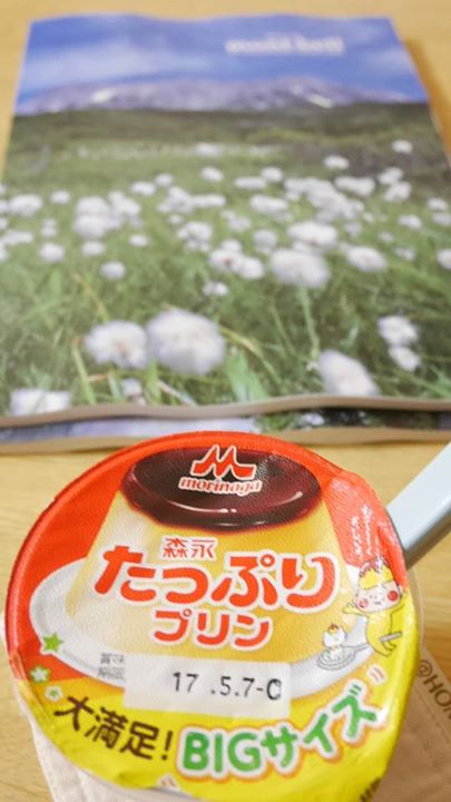 スーパー・コンビニ・その他 プリン 森永たっぷりプリン