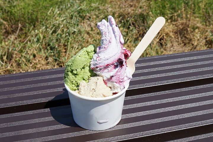 信州ジェラート with(ウィズ) アイス・ジェラート ほうれん草のジェラート他