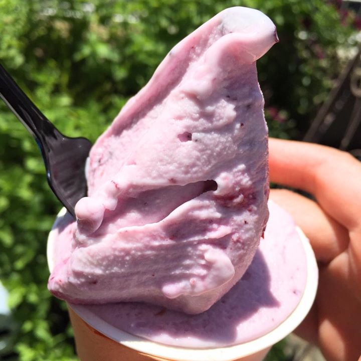 Confiture mimi Gelateria（コンフィチュール ミミ ジェラテリア）&nbsp;アイス・ジェラート&nbsp;ヨーグルトのジェラート