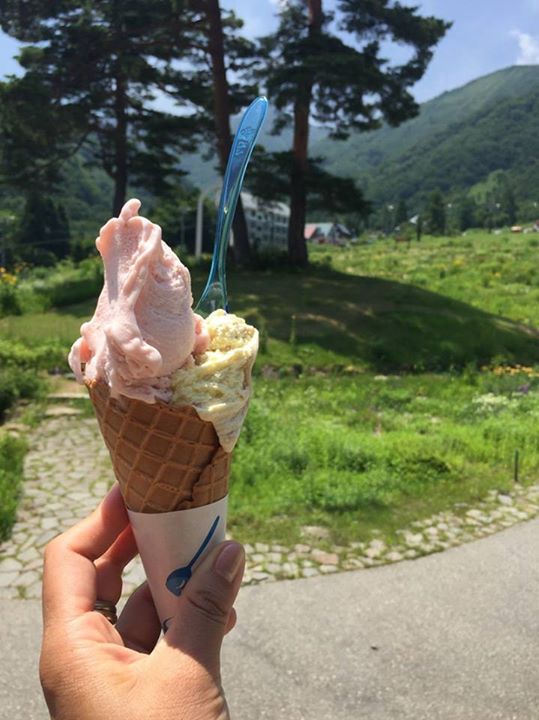 ヨゴリーノ アイス・ジェラート いちごみるくとティラミスのジェラート