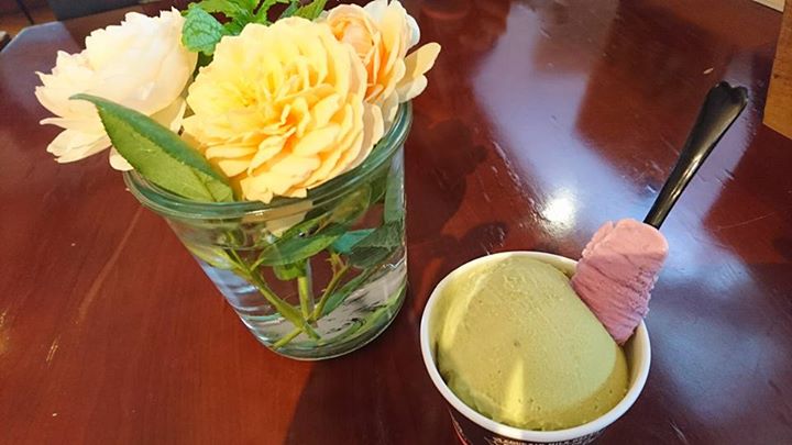 St.Cousair（サンクゼール）&nbsp;アイス・ジェラート&nbsp;ピスタチオのジェラート、ブルーベリーヨーグルトのジェラート
