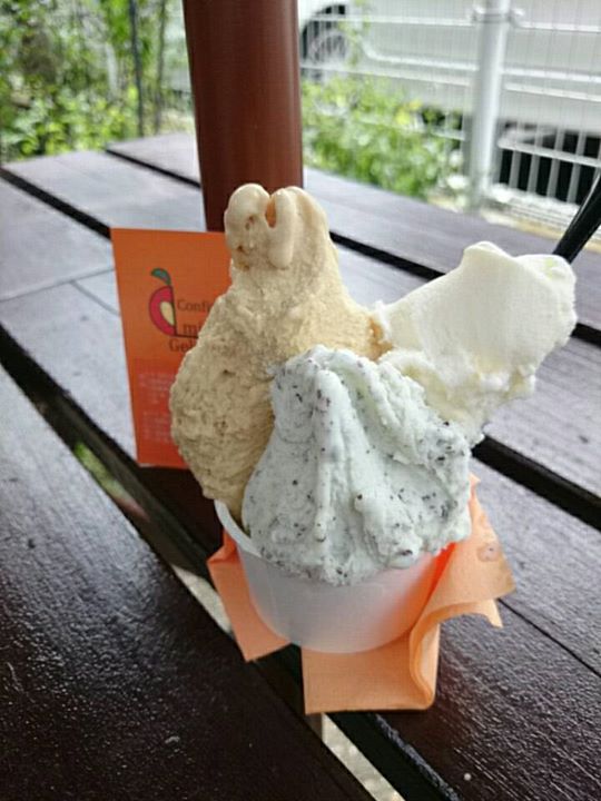 Confiture mimi Gelateria(コンフィチュール ミミ ジェラテリア) アイス・ジェラート チョコミントとノッチョーラ(ヘーゼルナッツ)、はるみフロマージュ