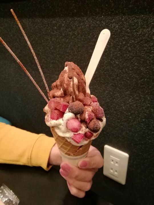 Vege Sweets Cafe CHILL OUT&SOFT CREAM畑(チルアウト アンド ソフトクリーム ハタケ) アイス・ジェラート ラムレーズンショコラ、六地蔵ソフト