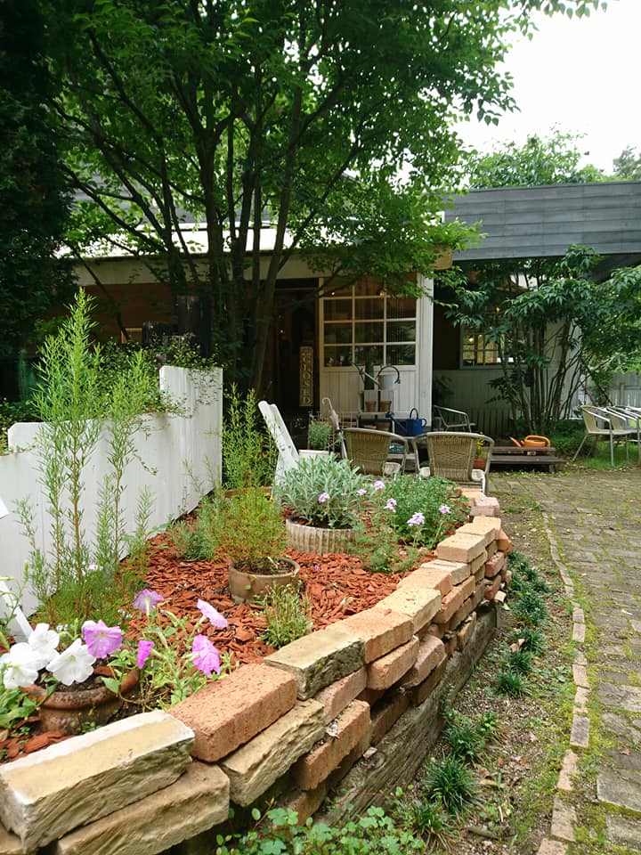 cafe&zakka カフェ&雑貨 七ヶ月 ケーキ・タルト 杏とはちみつのムース
