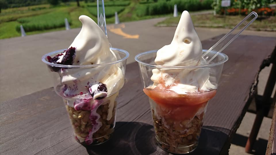 黒姫高原コスモス園&nbsp;アイス・ジェラート,かき氷・フラッペ&nbsp;ソフトクリーム、信濃ルバーブと信濃ブルーベリー、杏のかき氷