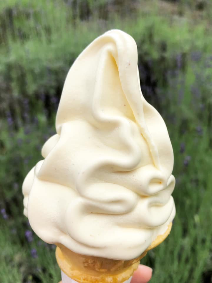夢農場 アイス・ジェラート ラベンダーソフトクリーム