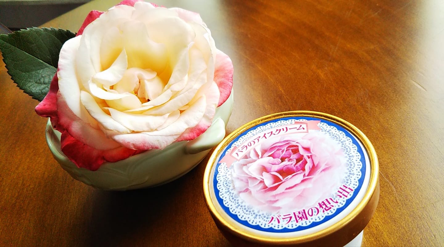 喫茶ロザース アイス・ジェラート 【期間限定】バラのアイスクリーム