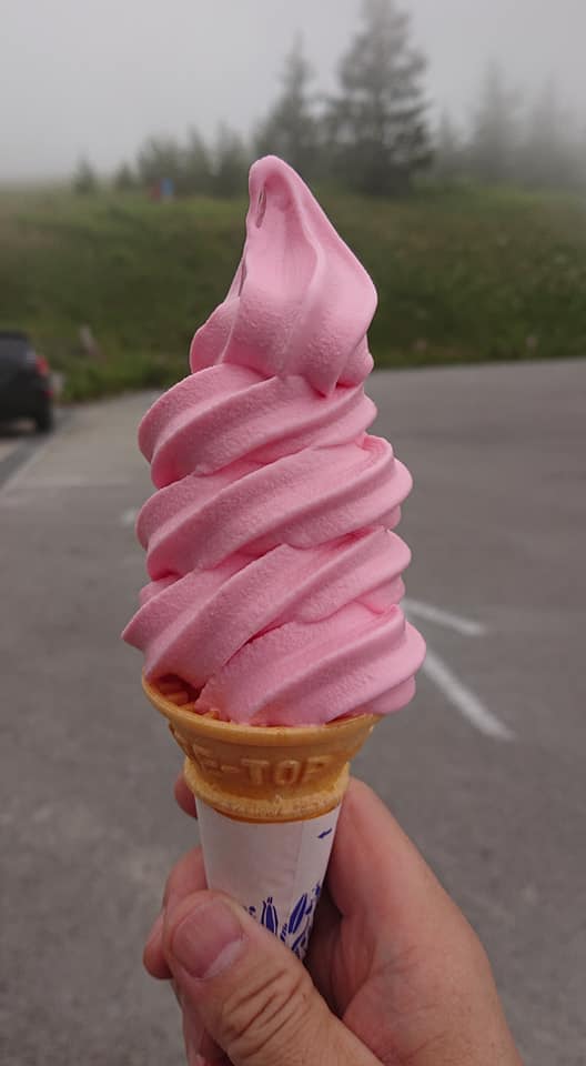 山本小屋ふる里館 ソフトクリーム こけももソフトクリーム
