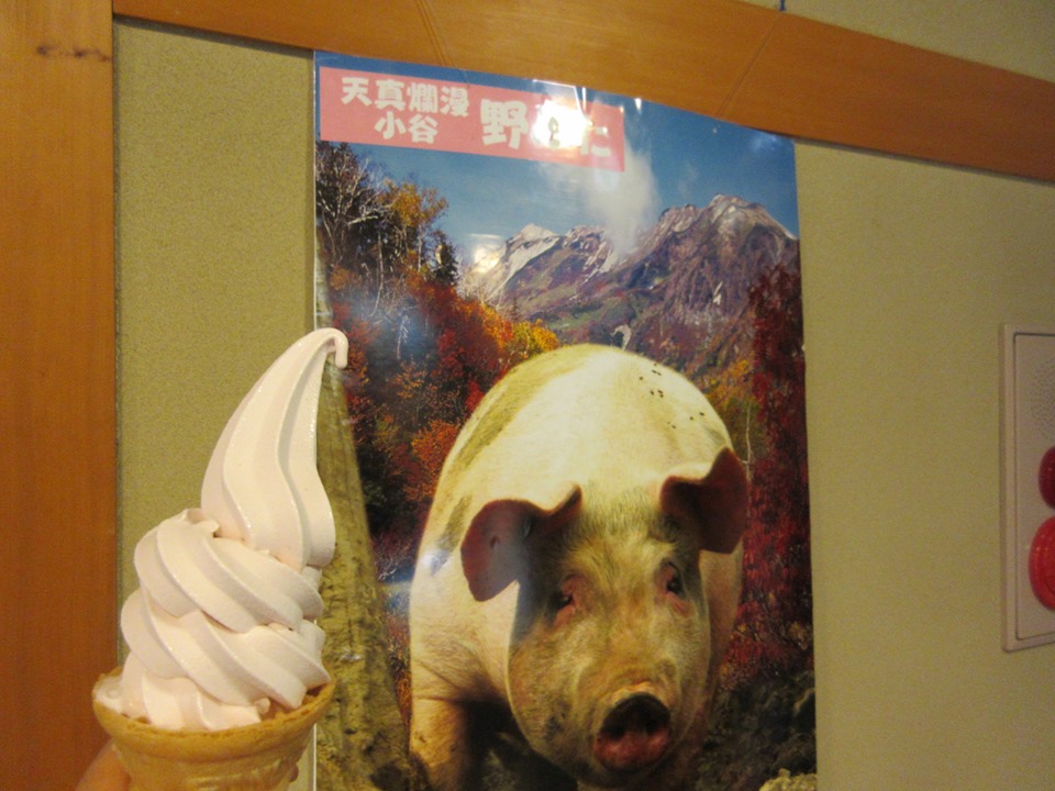道の駅 小谷(オタリ) ソフトクリーム 山ぶどうソフトクリーム