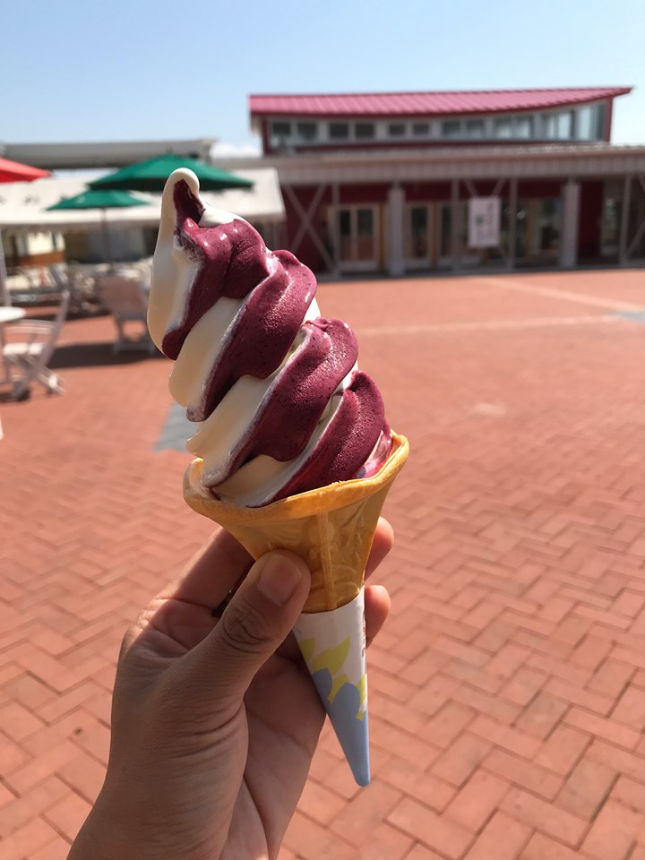 道の駅 あおき&nbsp;ソフトクリーム&nbsp;コンパラ＆ミルクソフトクリーム