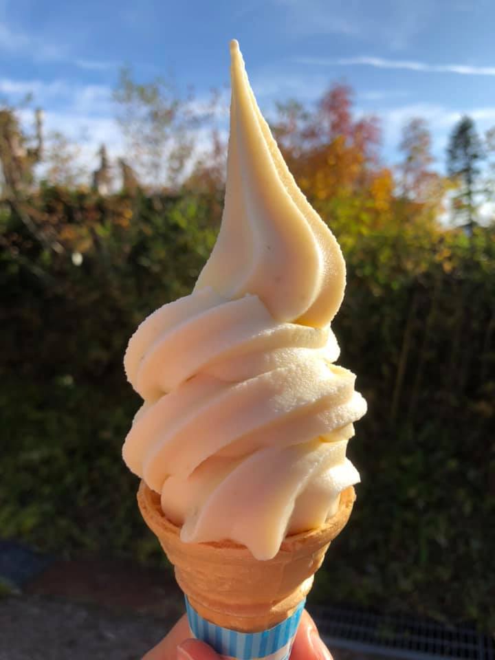栂池自然園（ツガイケシゼンエン）&nbsp;ソフトクリーム&nbsp;さるなしソフト＆ブルーベリーとバニラミックスソフト