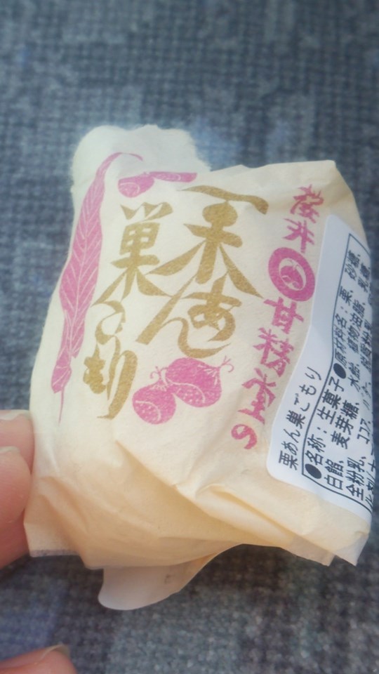桜井甘精堂(サクライカンセイドウ) 和菓子 栗あん巣ごもり