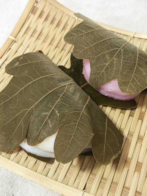 玉林餅菓子(タマバヤシモチガシテン) お餅 柏餅