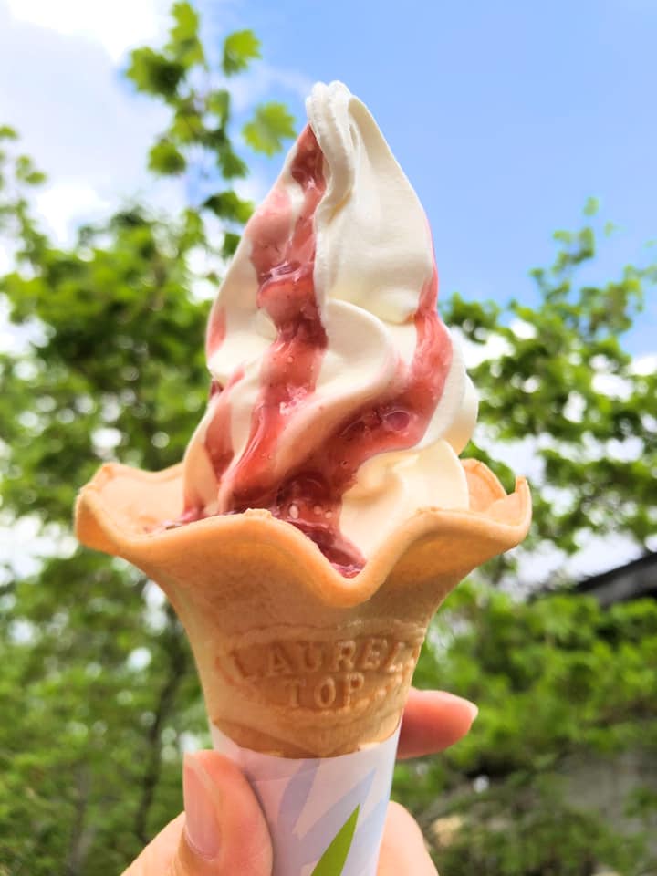 白樺食堂(シラカバショクドウ) ソフトクリーム ソフトクリームラズベリーソースがけ