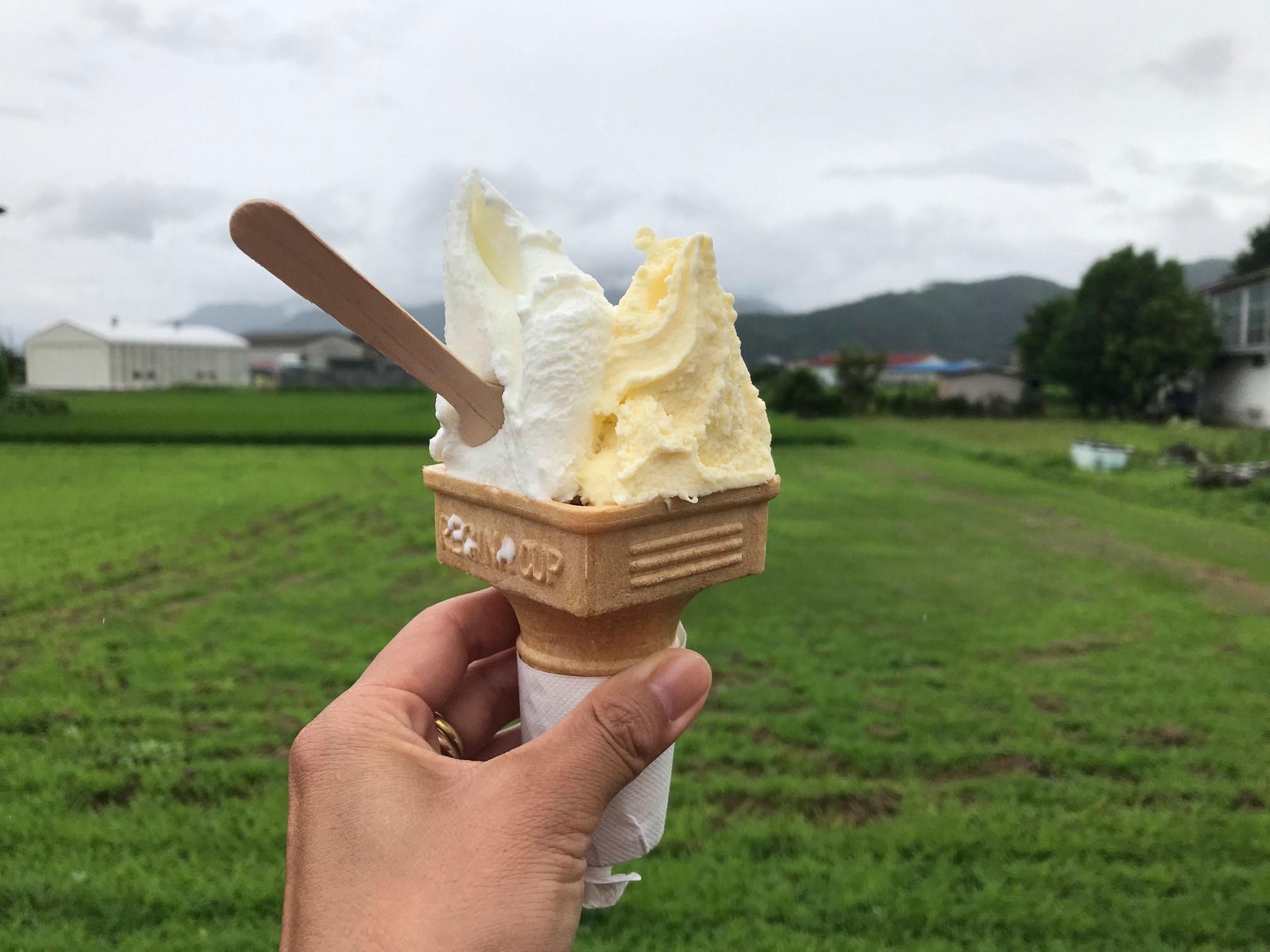 信州ジェラート with(ウィズ) アイス・ジェラート ミルク&とうもろこしのダブル