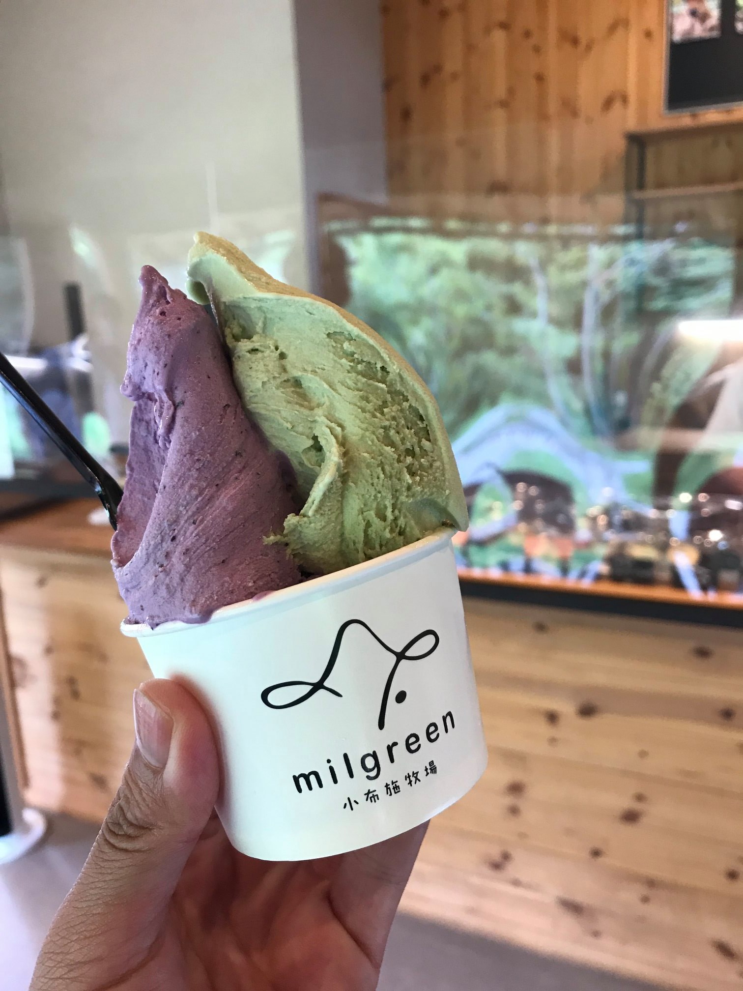 milgreen(ミルグリーン) アイス・ジェラート ピスタチオとブルーベリーミルク