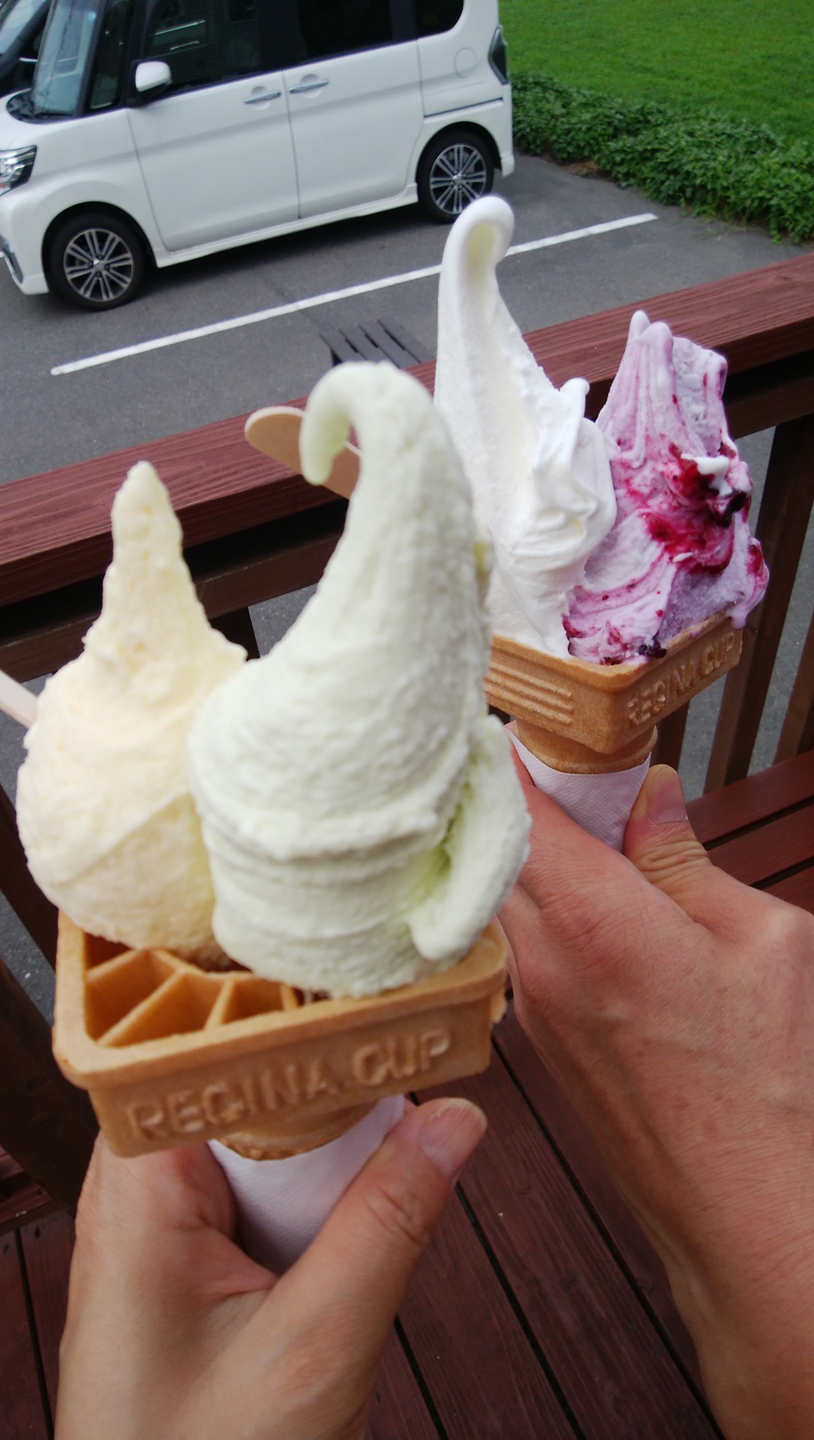 信州ジェラート with(ウィズ) アイス・ジェラート とうもろこし&枝豆と牛乳&ブルーベリーヨーグルト