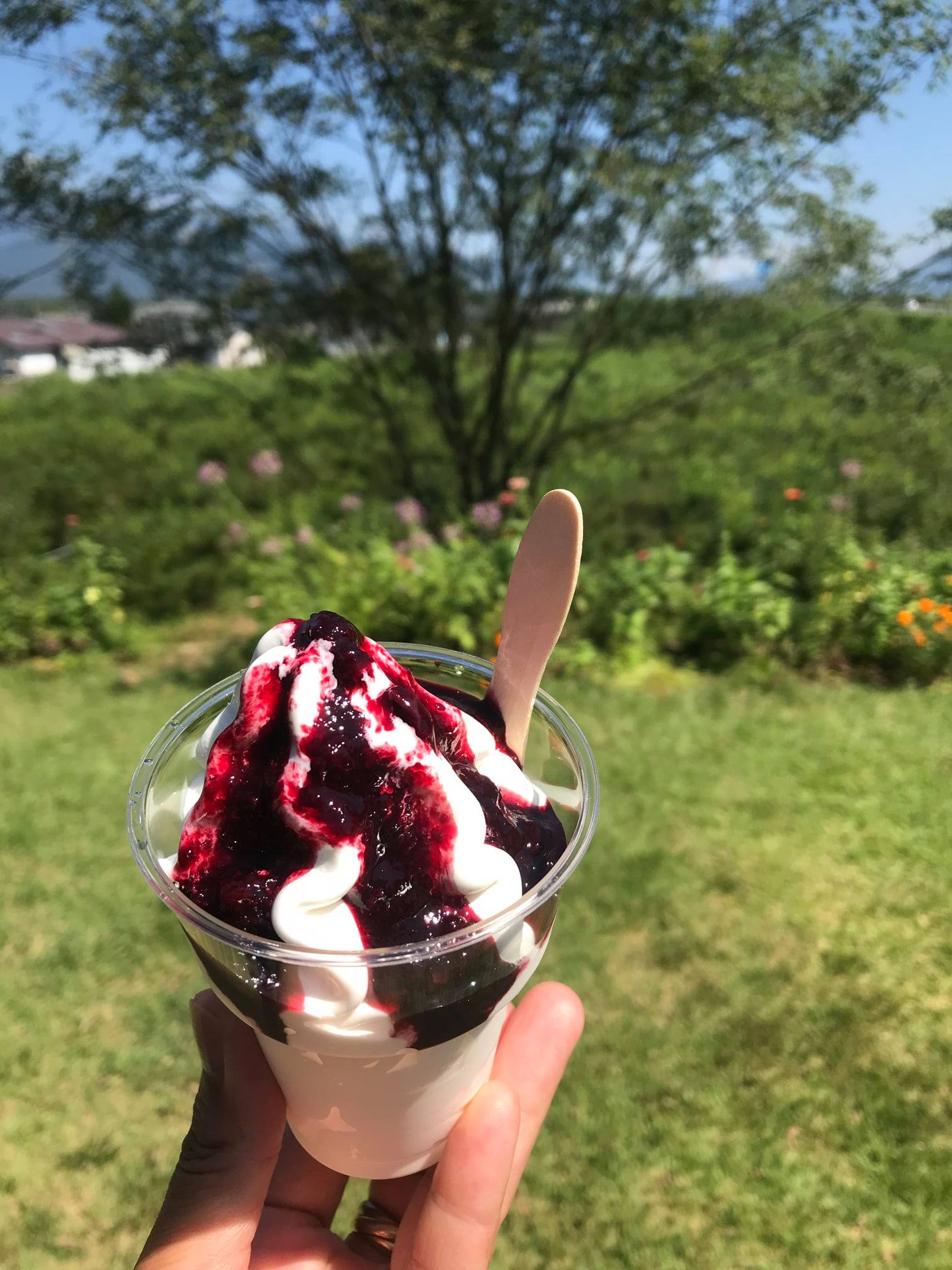 農かふぇ 白馬そだち(ハクバソダチ) ソフトクリーム ブルーベリーソフトクリーム